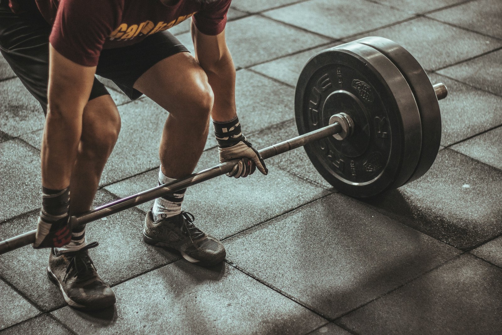 Estrutura Sport & Fit
